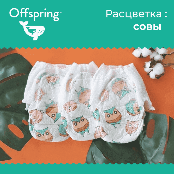 Совы