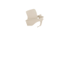 Vanilla White
