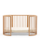 Birch Beige