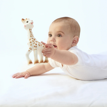 Подарочный набор Vulli Sophie la girafe с игрушкой и прорезывателем