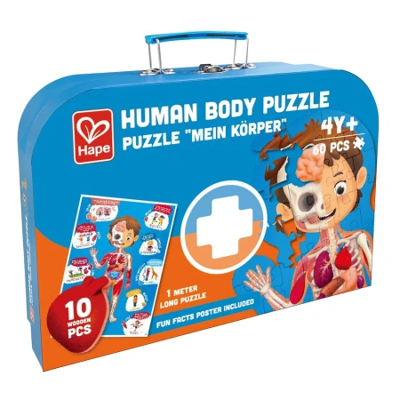 Hape Пазл для детей Как устроено тело человека, 60 элементов в кейсе