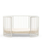Birch Beige