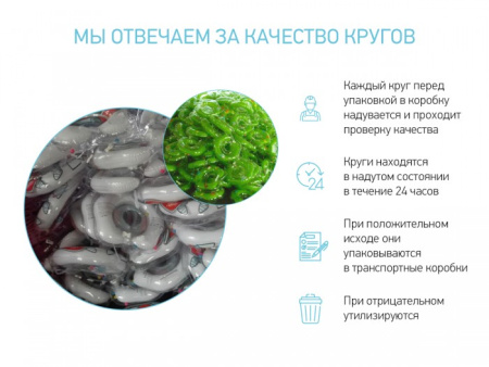 Roxy Kids Надувной круг на шею для купания малышей Flipper музыкальный Лебединое озеро 0+
