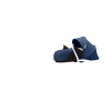 Air France Blue