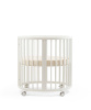 Birch Beige