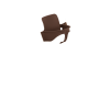Warm Brown