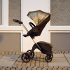 Stokke Коляска Xplory X с прогулочным блоком - Gold Black