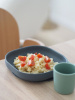Beaba Тарелка из силикона ASSIETTE SILICONE
