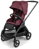BLACK/DARK CHERRY-DARK CHERRY