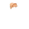 Island Coral