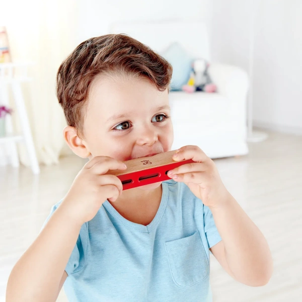 Hape Детская музыкальная игрушка "Буду музыкантом" губная гармошка