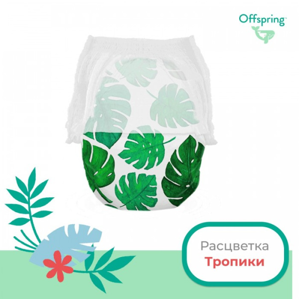 Тропики