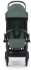 Black-Olive