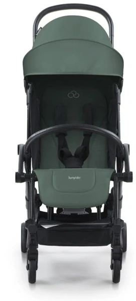 Black-Olive